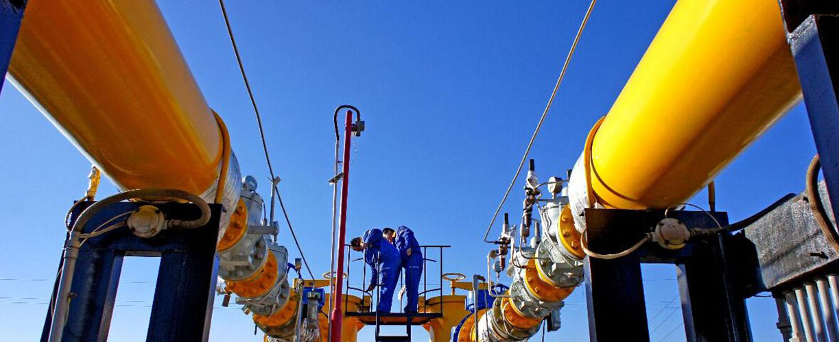 鋼絲網骨架複合管項目案（àn）例